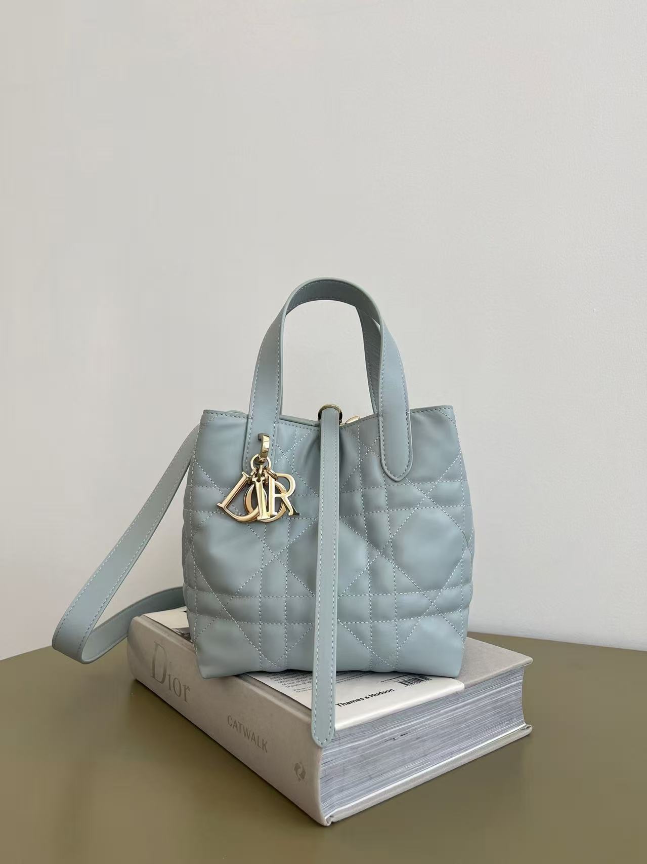 Dior Toujours Small Bag