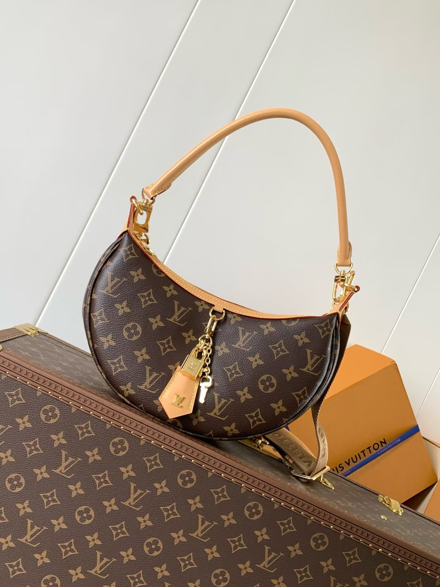 Louis Vuitton Looping Handbag